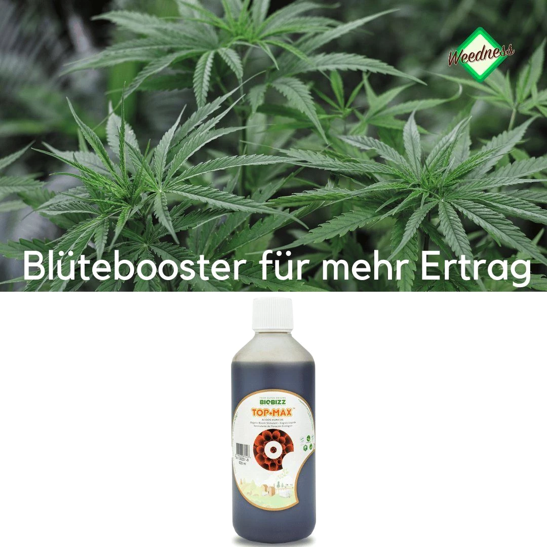 Weedness Pflanzendünger BioBizz Top Max Naturdünger Tomaten Bonsai Bio Organischer NPK